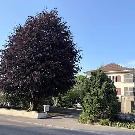 Helle Nahe Bern *